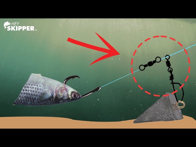 Beach Fishing- Try THIS to Catch BIGGER Fish! (Fish Finder Rig