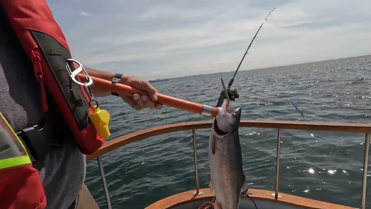 E29 Is this really the BC coast?