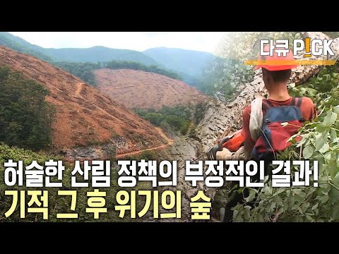 40년 <strong>만에</strong> ‘<strong>붉은</strong> 산’에서 ‘푸른 산’으로 기적! 하지만.. 무분별한 벌채로 산림은 훼손, 야생 동·식물 서식지 파괴, 주민과의 갈등까지 위기다! (KBS 20141219 방송)