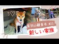 音羽山観音寺#23 2022年末・新しい家族