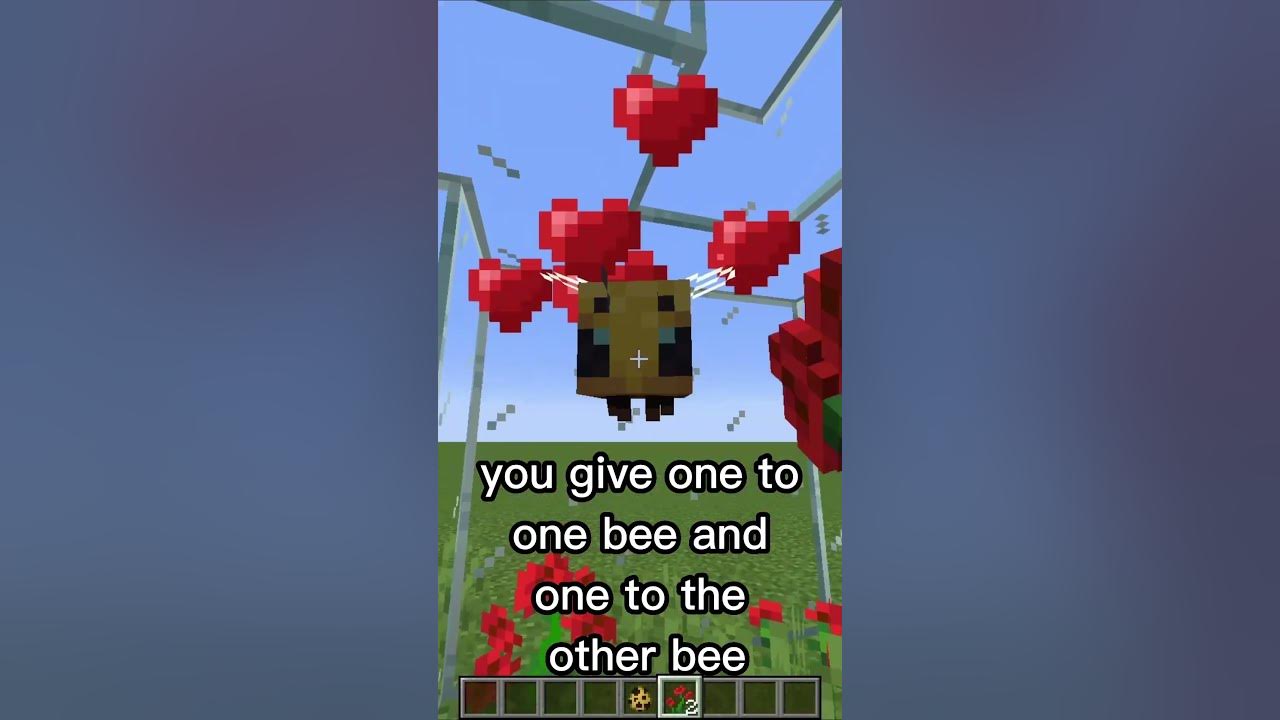 How to breed bees in minecraft shorts bee bees minecraft youtube