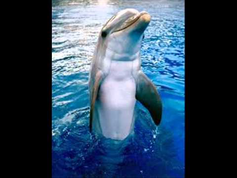 Video de Si yo llevo las nuevas por Grupo Nueva Vida