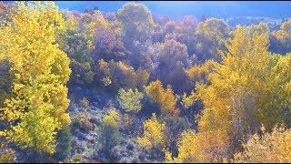 Video thumbnail of "David Tolk  - Morning Light - from the album Seasons"