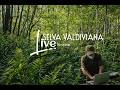 LIVE SESSION Deep Progressive Hard House MUSIC MIX 2026 SELVA VALDIVIANA LIVE SESSION Deep Progressive Hard House MUSIC MIX 2026 SELVA VALDIVIANA
