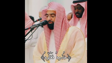 خذوه فغلوه🤍|تلاوة بياتي باكي للشيخ ناصر القطامي|حالات واتس اب دينة🕊❤