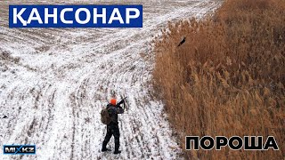 Қансонарда Қырғауылға аңшылық, Первый снег, охота на фазана с Лайкой, Субтитры #MixKzEreke #MixEreke