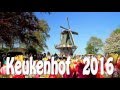 KEUKENHOF 2016  (the Garden of Europe)  Full HD.