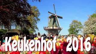 Keukenhof 2016 The Garden Of Europe Full Hd.