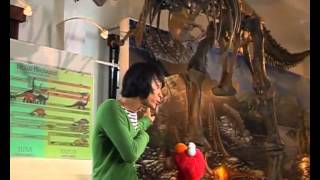 Elmo - Dinosaurus.mp4
