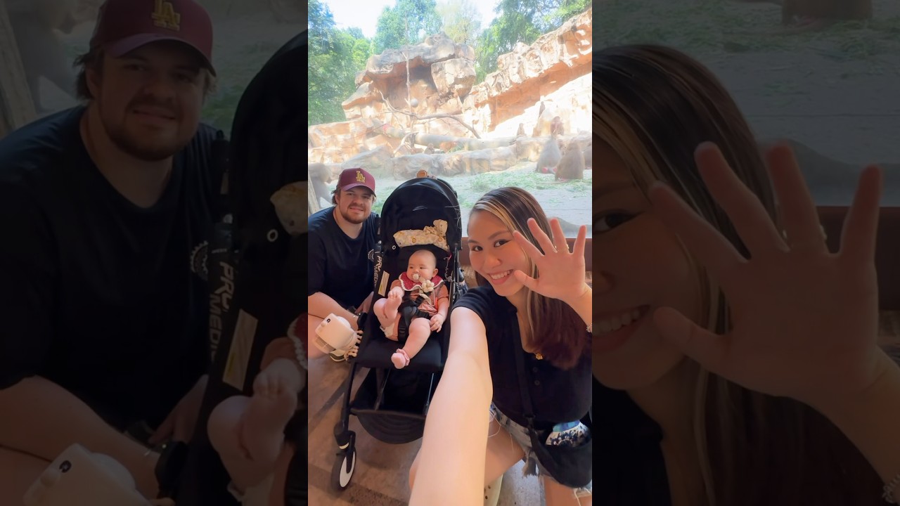 Family outing at the Zoo! 