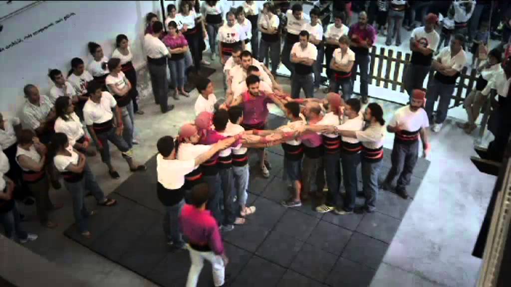 TV3 - Quarts de nou - De peus a terra -Com s'organitza una pinya?