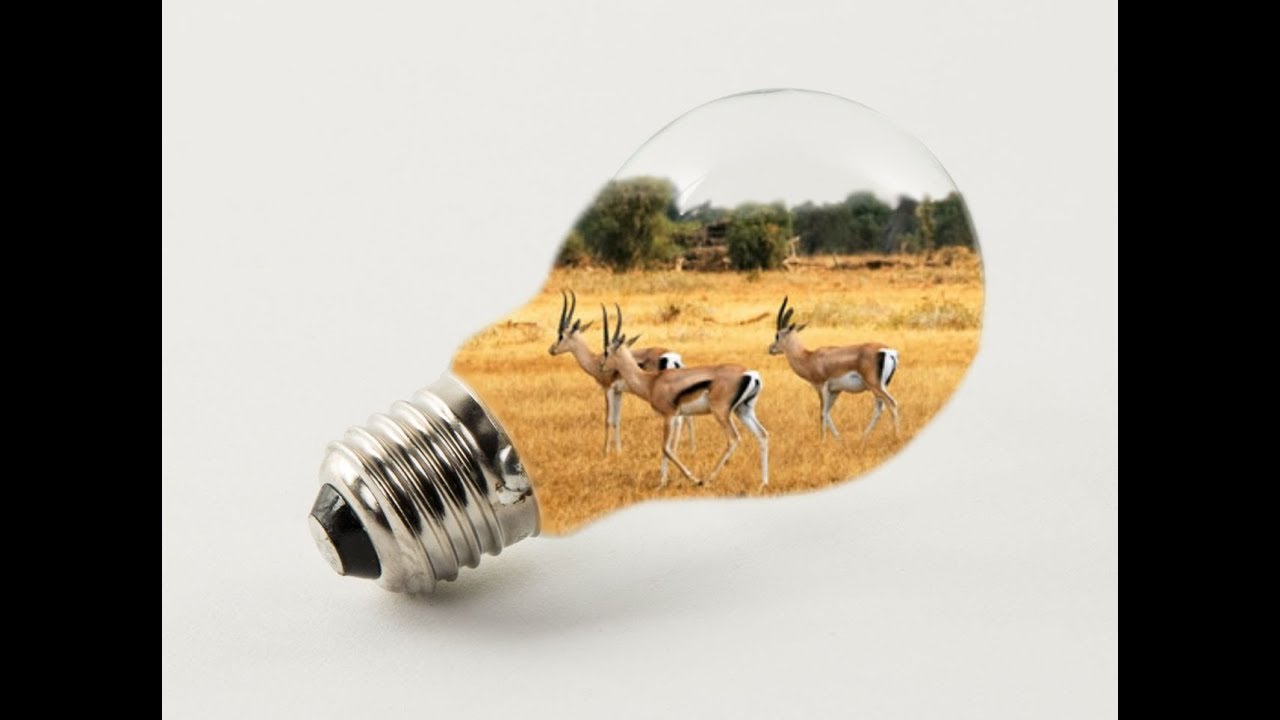 Affinity Photo Speed Art