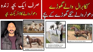 Know about Dholer Wale Kaka's Horse | Famous Blooded Horses | Progeny of Kaka Barral bloodline