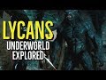 LYCANS (UNDERWORLD Explored)