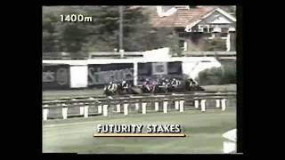 1991 VATC Futurity Stakes - Redelva