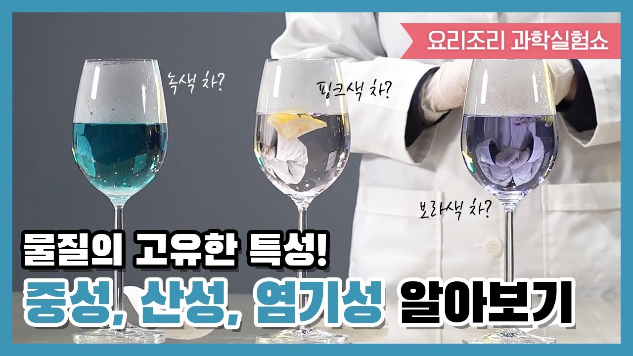 국립광주과학관 '요리조리 과학실험쇼' - 산성, 염기성, 중성
