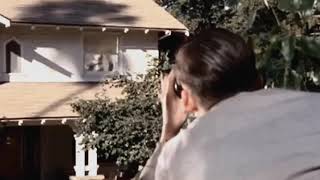 Blockhead - Serenade (entitee flip) BTTF clip