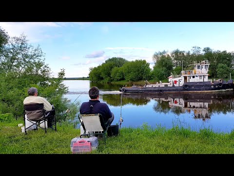 Вот И Первые Лещи На Днепре. Рыбалка С Ночевкой В Любимом Месте. Мощные Поклевки. Лещ На Фидер.