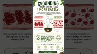 Wednesday Wellness Wisdom: Grounding (see caption)
