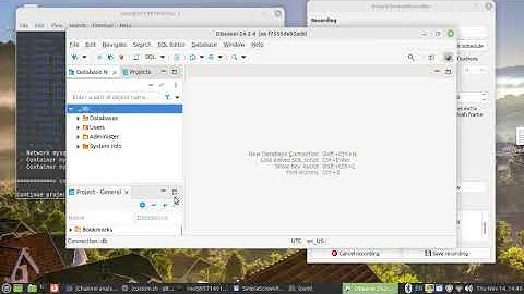 Database {{ dbeaver mysql }} sql