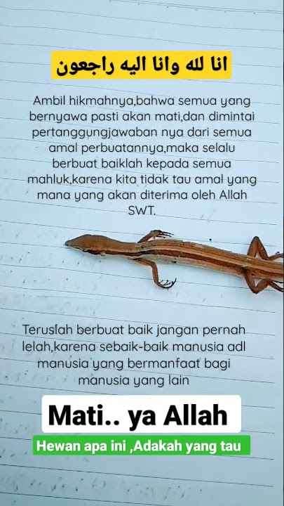 innalilahi wa innailaihi rojiun  #shorts