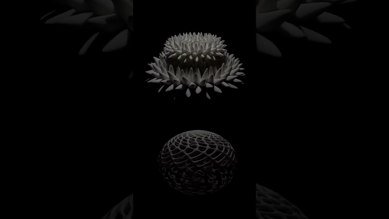 Blooms by John Edmark | Wonderspaces Arizona  