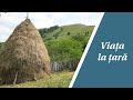 La țară-nfloresc toți pomii, de la țară vin și domnii