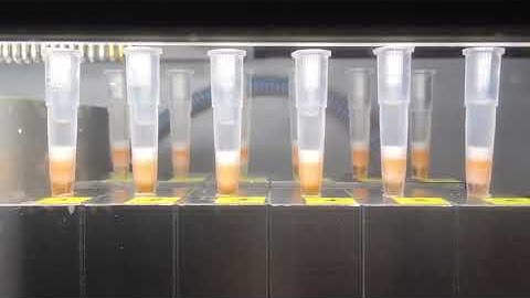 DNA RNA Synthesizer Oligonucleotides making machine