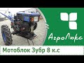 Мотоблок Зубр 8 к.с відео огляд || Motoblok Zubr 8 hp видео обзор