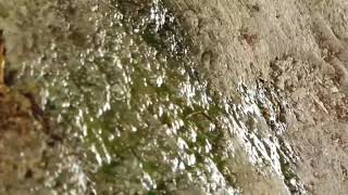 Isuzu 4jb1 water/coolant leak