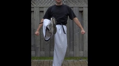 Taekwondo: Hapkido: Foundations: Blocking inward crescent kick - front view