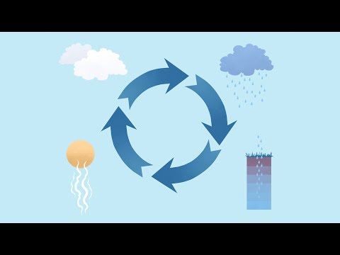 Video: Hvad mener du med vandkredsløb med diagram?