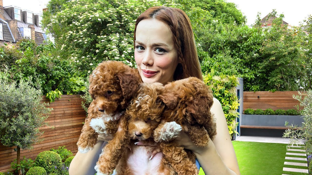 YENİ YAVRU KÖPEĞİMİZ !? Öykü’ye Dev Süpriz! | Gamze Karta Öykü Karta