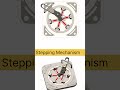 A beautiful and Oddly Satisfying Mechanical Indexing 🛠️#reels#shorts#viralvideos#trending#mechanism