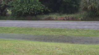 Downpour in the Front Yard by Hawk 1966 26 views 7 years ago 51 seconds