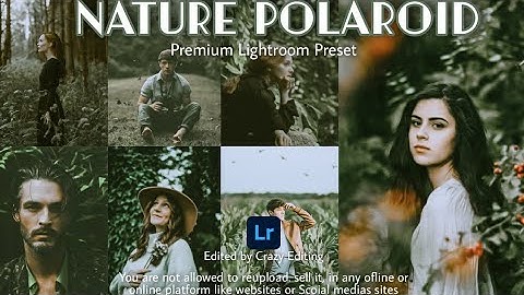 Polaroid Presets - Nature Polaroid | Mobile Preset Tutorial | Best Lightroom Free DNG