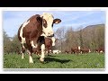 Une année à la Ferme de Grange Neuve