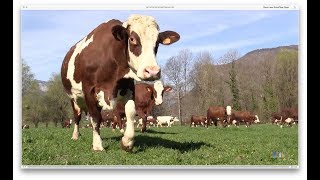 Une année à la Ferme de Grange Neuve