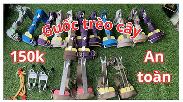 Dụng Cụ Trèo Cây Đa Năng| Guốc Trèo Cây 2 Đinh Mới Nhất Cách Sử Dụng An Toàn - Hiệu Quả 150k