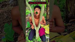 Simple Bird Trap for Parrots #shorts #trap #funny #birds #comedy #nature #birdtrap