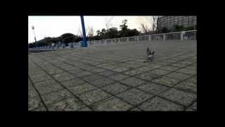 ソニーがつくった三脚「VCT-MP1」でローアングル撮影を試してみた