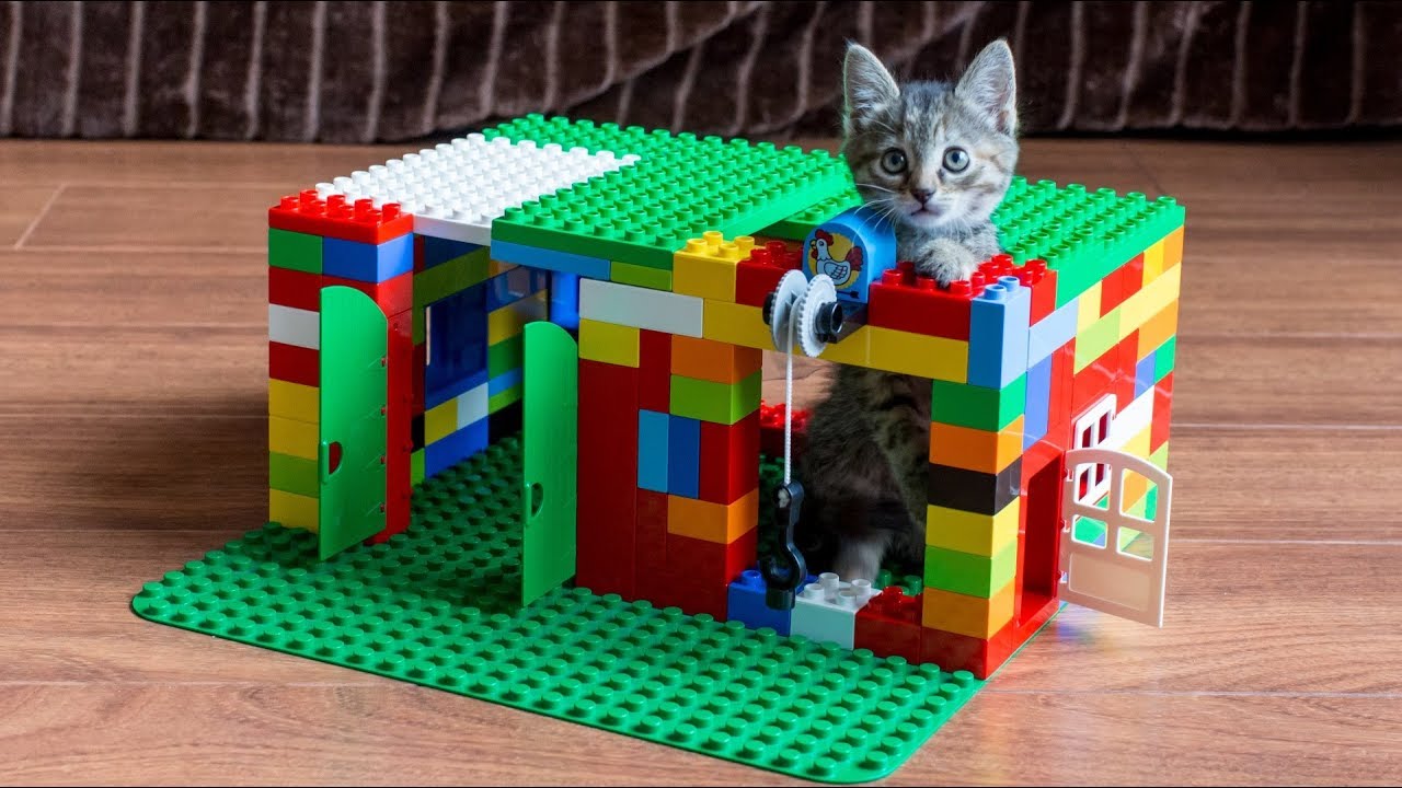 Comment fabriquer une maison en Lego pour votre chat - YouTube
