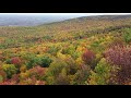 Foliage @ Lake Minnewaska