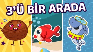 Ceviz Adam | Kırmızı Balık | Baby Shark Türkçe Versiyon | En Çok İzlenen Eğlenceli Çocuk Şarkıları