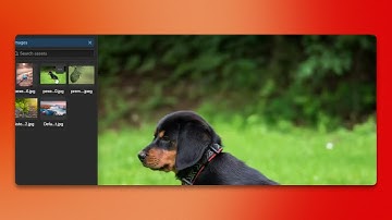 How To Center An Image In Web flow
