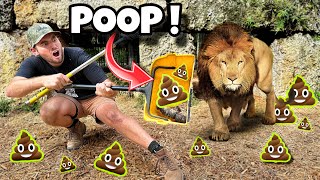 Poop Scooping The Lion Den At The Zoo ! Lions, Tigers, Ligers !!