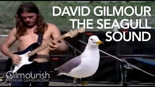 David Gilmour Echoes Seagull sound