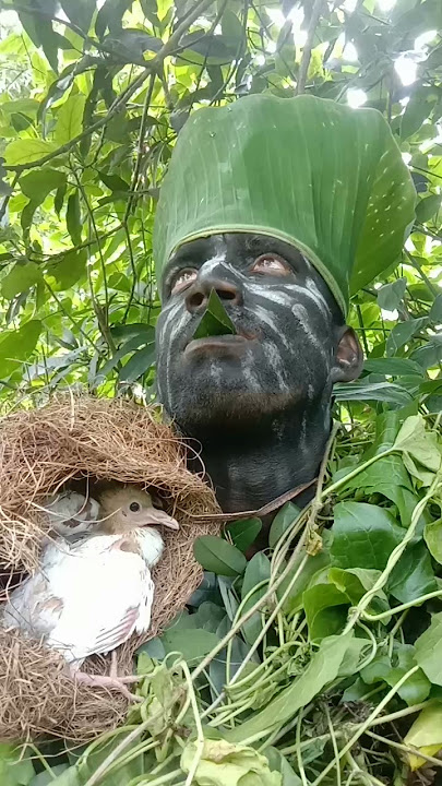 forest human# bird# sound# call# shorts# video