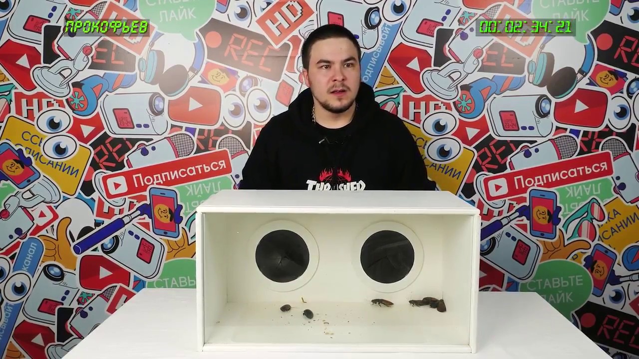 кажется нащупал коробка. коробка нащупал. шоу кажется нащупал. ящик нащупай. предметы угадать на ощупь.