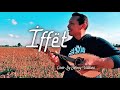 Ffet castit  mandolin  cover by johnny valdivia